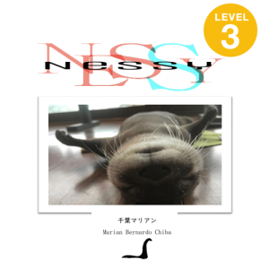 Nessy