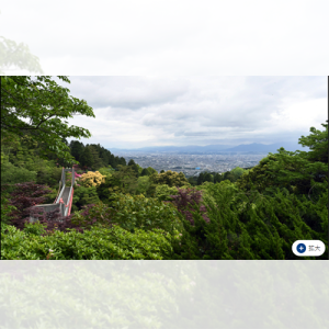 Fukuoka မြို့၏သစ်တောကိုကာကွယ်ခြင်း