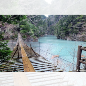 Shizuoka "Dream Suspension Bridge" ၏ အံ့သြဖွယ်မြင်ကွင်း